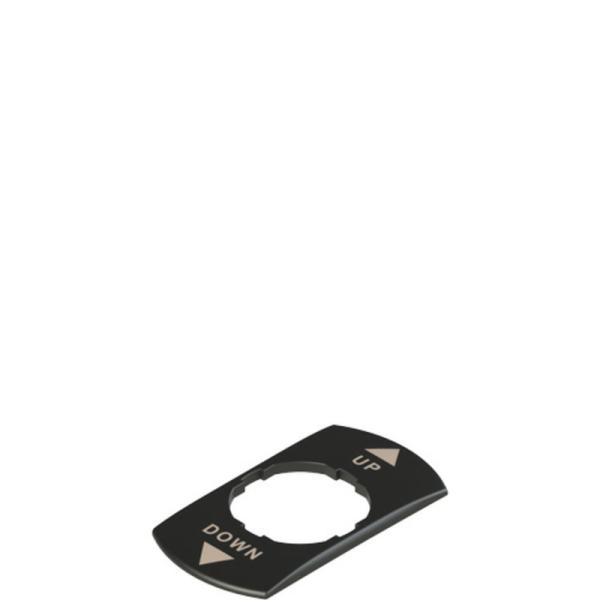 Placa 2 direcciones Pizzato VE TF12G1234