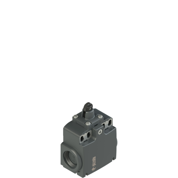 Position switch pulsador con roldana  40x60mm FX515-M2