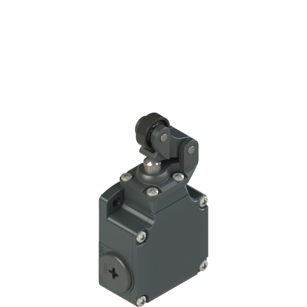 Position switch brazo con roldana pulsador 40x60mm FL502-M2