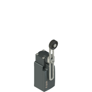 PZ1002.png Position Switch Brazo frontal reg. Roldana Acero 20mm. Cuerpo 30x30mm Met. FM 555-M2R24.